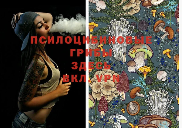 мяу мяу мука Новодвинск