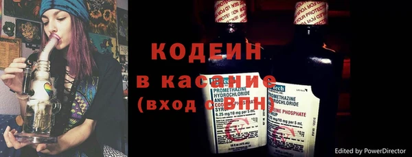 прущие грибы Нязепетровск