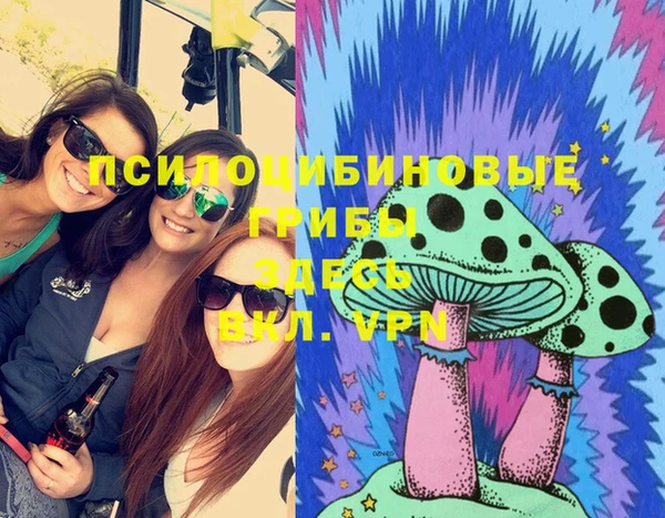 не бодяженный Новозыбков