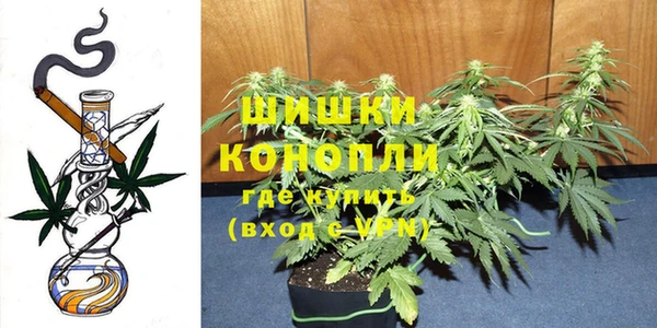 не бодяженный Новозыбков