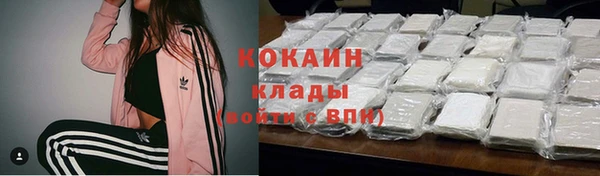 амф Няндома
