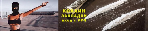 прущие грибы Нязепетровск