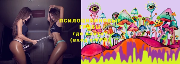хмурый Гвардейск
