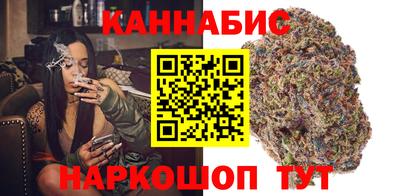 мяу мяу мука Гай