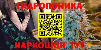 ешки Гагарин