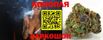 мяу мяу мука Гай