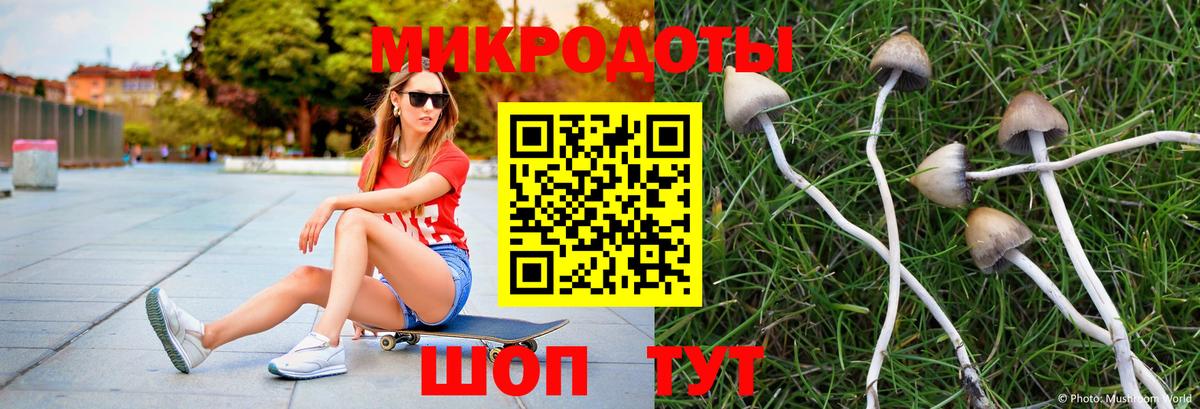 Галлюциногенные грибы мицелий Кропоткин
