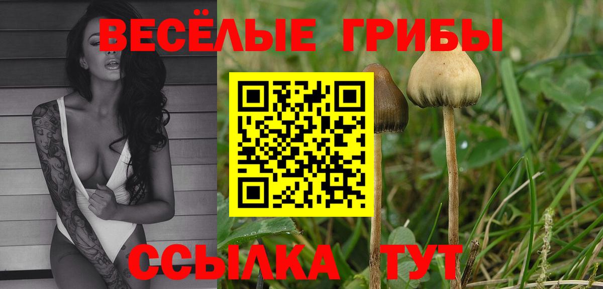 Галлюциногенные грибы MAGIC MUSHROOMS  где продают   Кропоткин  Вход с VPN  Псилоцибиновые грибы MAGIC MUSHROOMS 